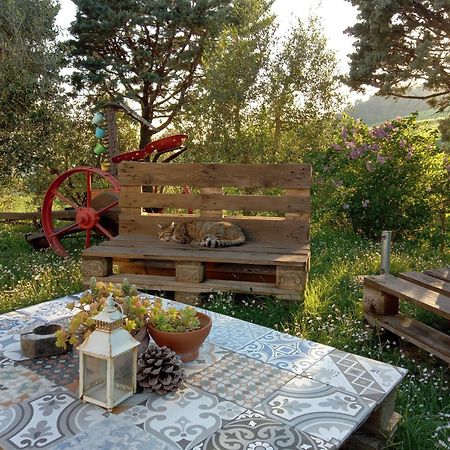 Agriturismo Santa Bruna Volterra Kültér fotó