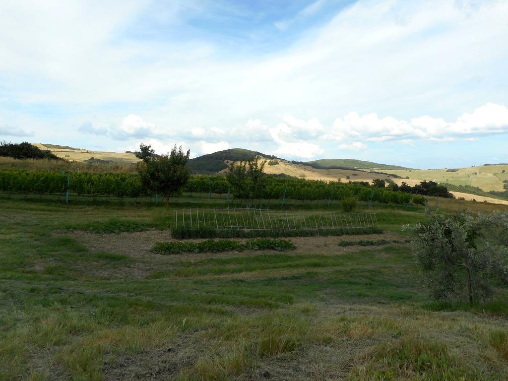 Agriturismo Santa Bruna Volterra Kültér fotó