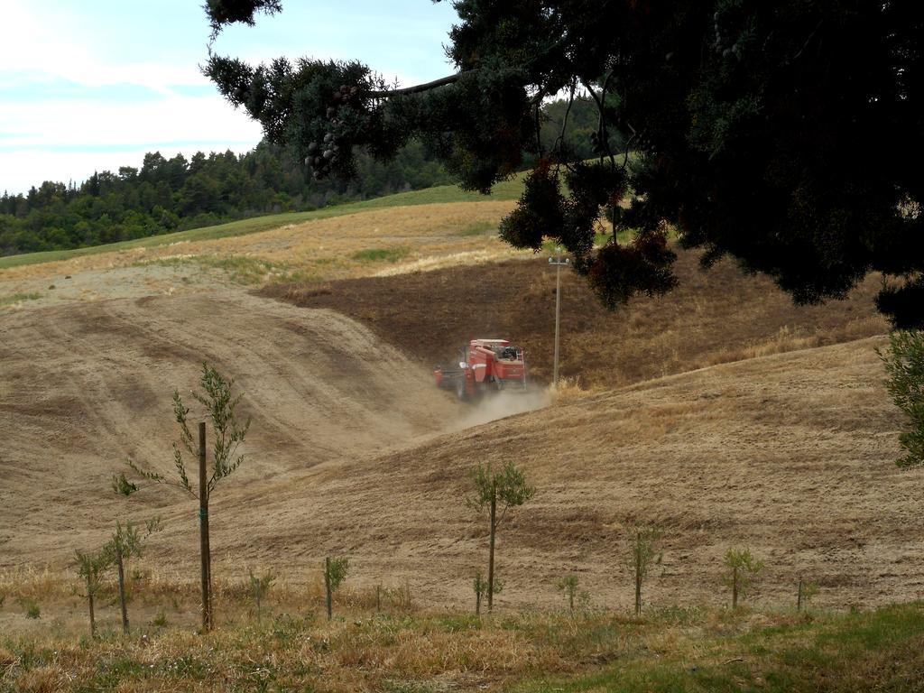 Agriturismo Santa Bruna Volterra Kültér fotó