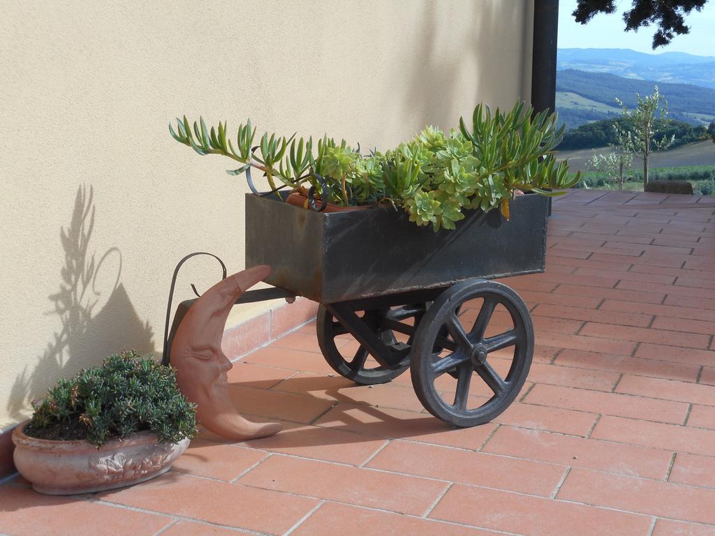 Agriturismo Santa Bruna Volterra Kültér fotó