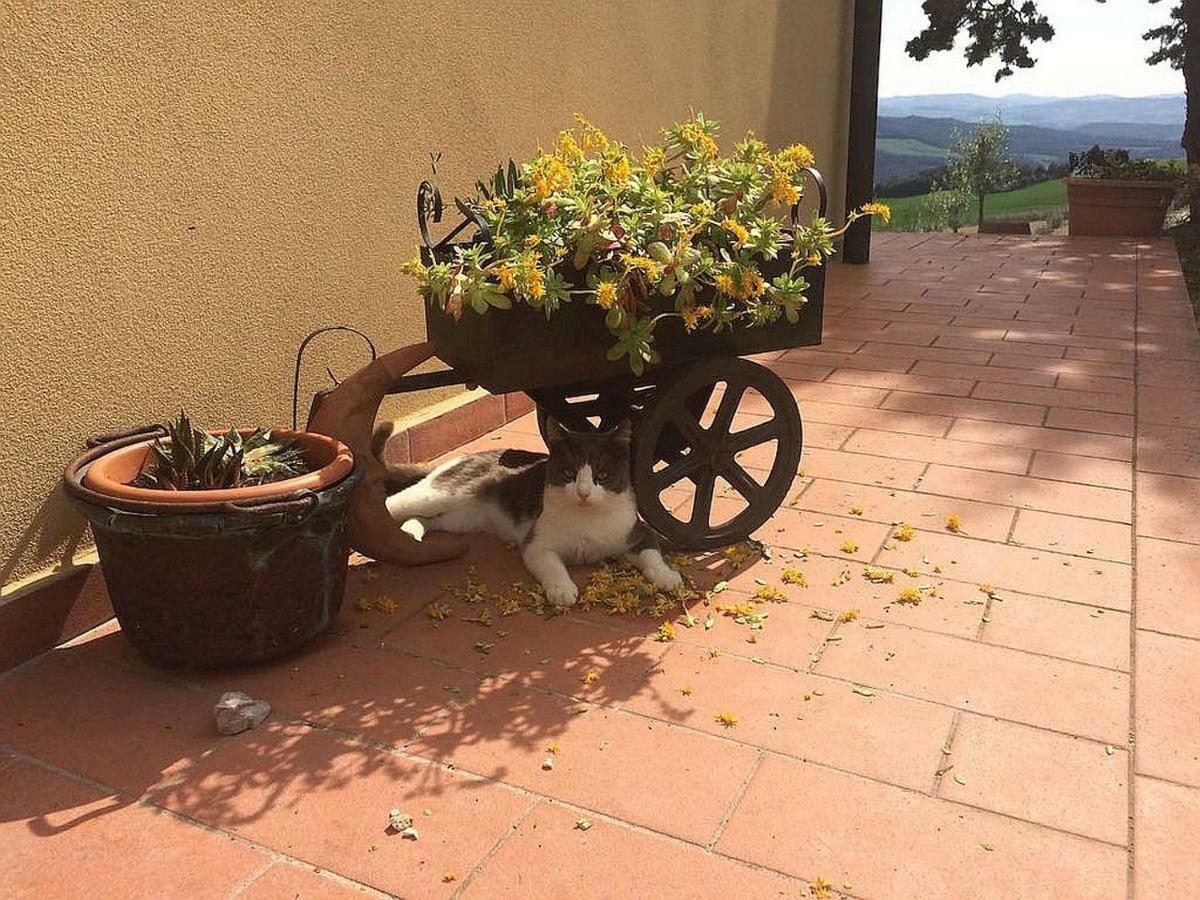 Agriturismo Santa Bruna Villa Volterra Kültér fotó