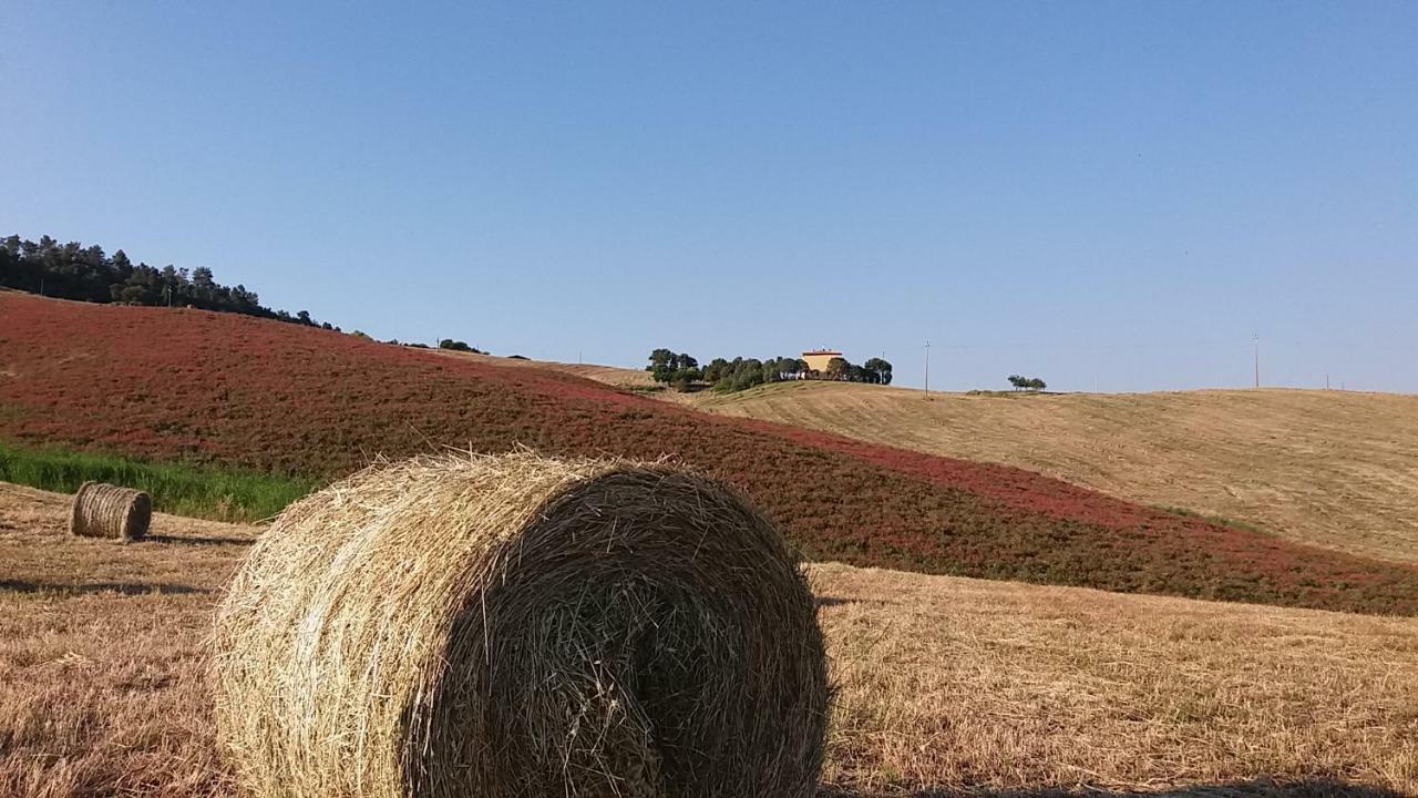 Agriturismo Santa Bruna Villa Volterra Kültér fotó